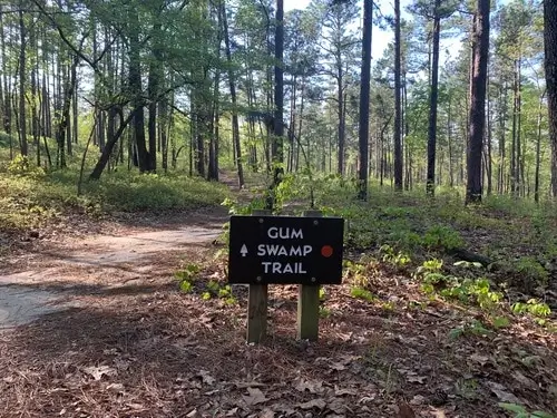 Weymouth Woods Southern Pines