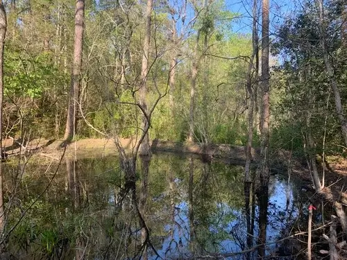 IWeymouth Woods Southern Pines